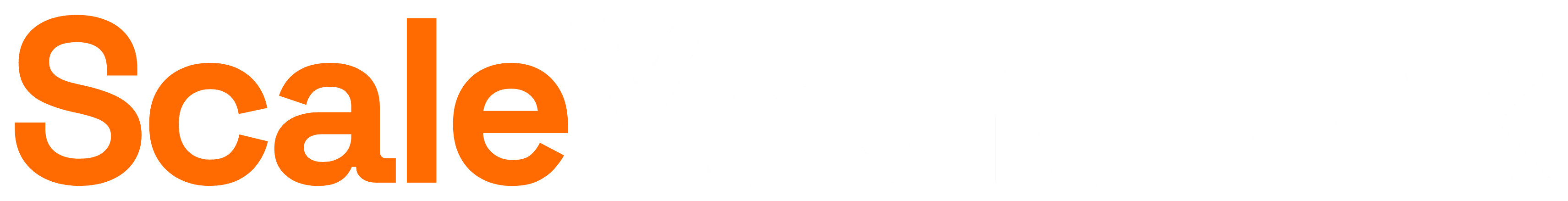 ScaleYourJunk